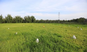 完善系統(tǒng)解決方案，助力實現(xiàn)“雙碳”目標(biāo)丨“創(chuàng)新100”走進(jìn)普瑞億科