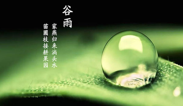 今日谷雨 | 谷得雨而生，夏天要醒了！(圖1)